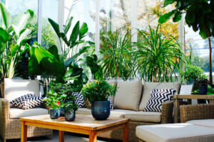 Zur luxuriösen Einrichtung des Wohnzimmers zählt auch die grüne Pracht von Pflanzen. Foto elodycy via Twenty20