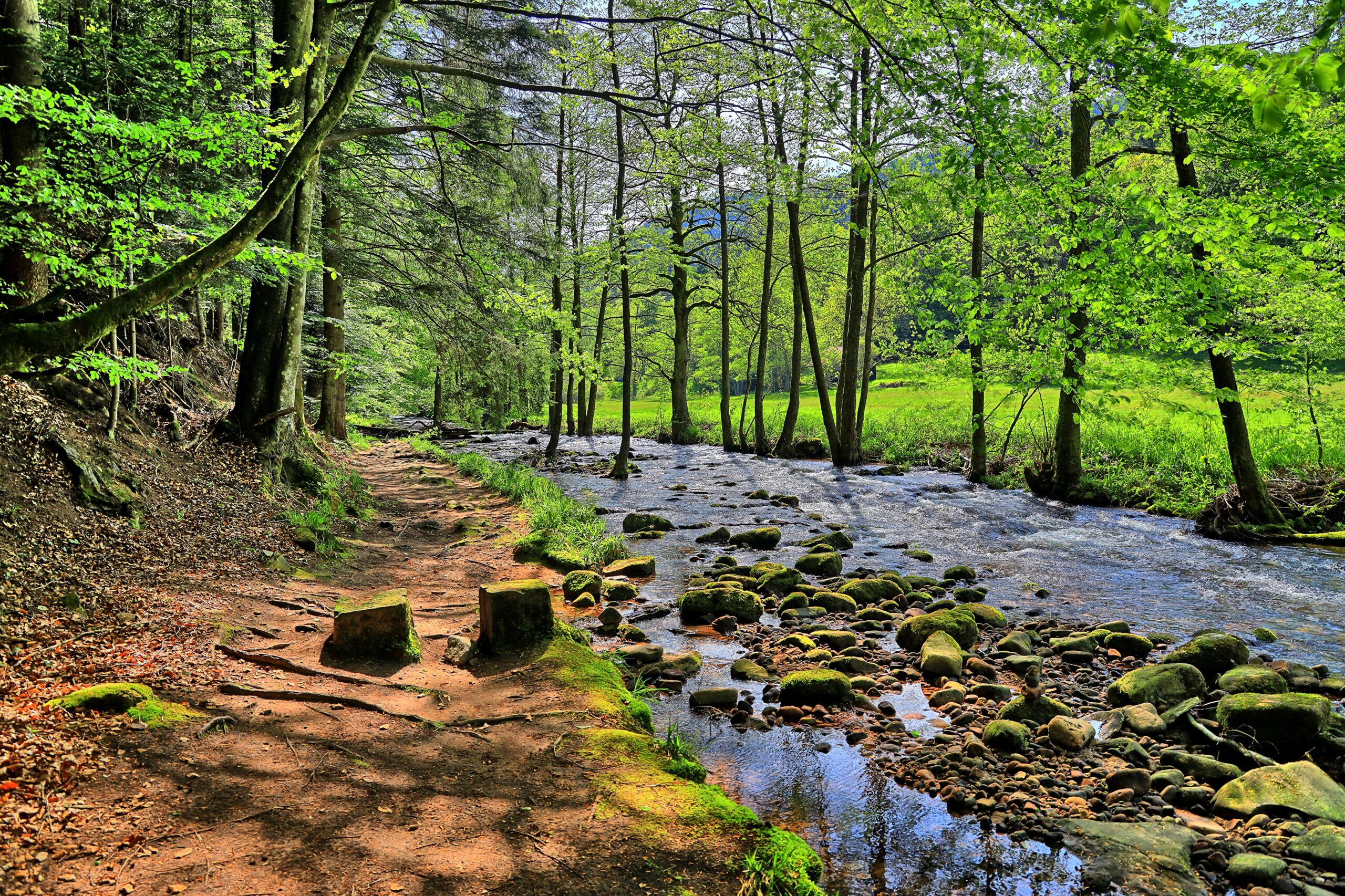 Der Nordschwarzwald zählt zu den beliebtesten Urlaubsregionen in Deutschland. Foto: ©fotoliaiso /stock adobe